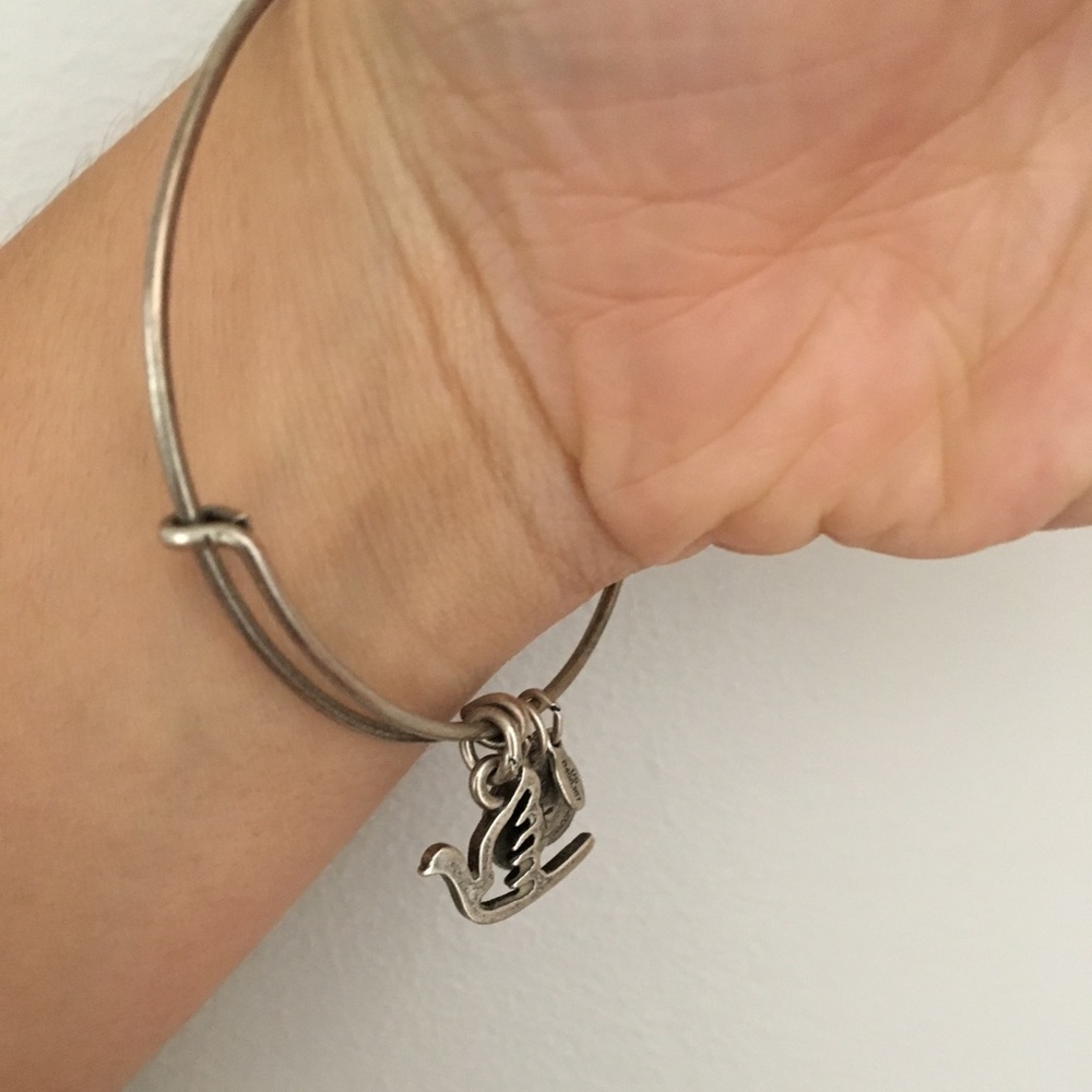 Alex and Ani Silver Bracelet